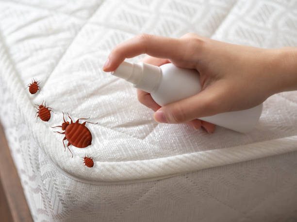 Best Bed Bug Extermination  in Monmouth Beach, NJ